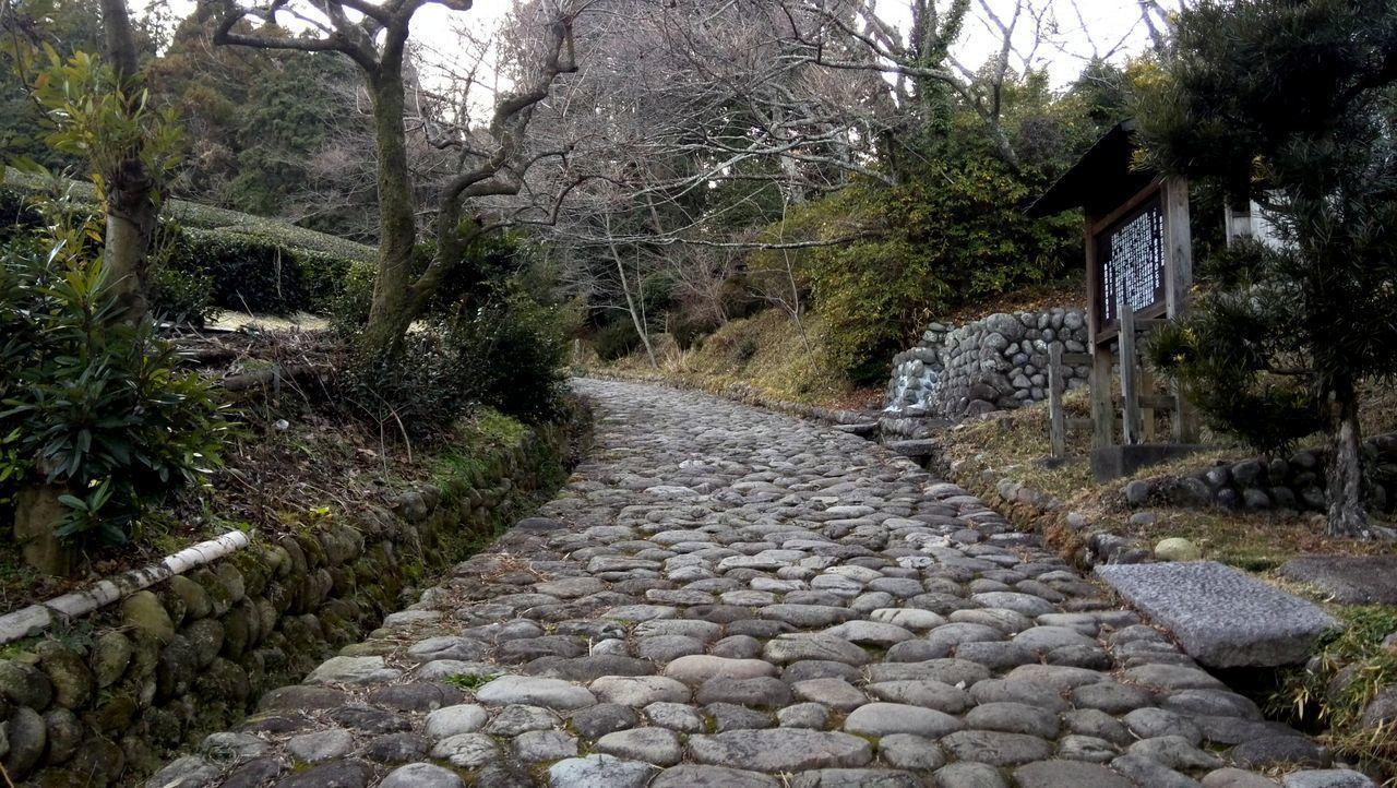 Jemsty Inn Hakone Ashinoko Eksteriør bilde