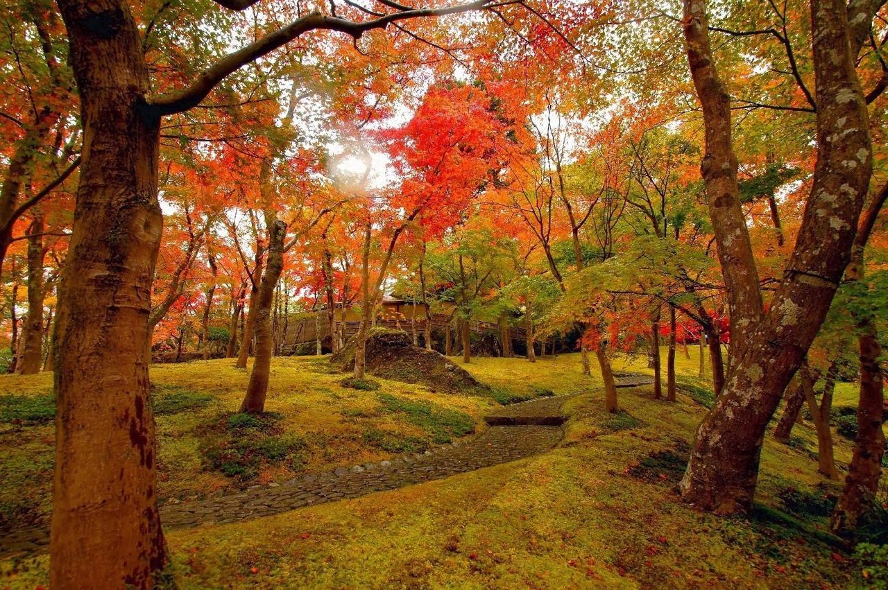 Jemsty Inn Hakone Ashinoko Eksteriør bilde